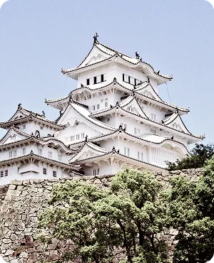 姫路の街を見てきたから、出せる提案があります